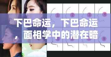 面相学视角下的下巴命运，揭示潜在暗示与人生走向的奥秘