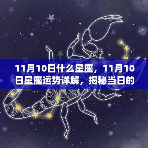 揭秘11月10日星座运势,星座秘密大解析