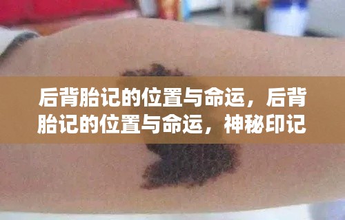 后背胎记的神秘密码，命运印记与命运揭秘之旅