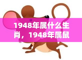 1948年属鼠人的运势详解与生肖特征分析