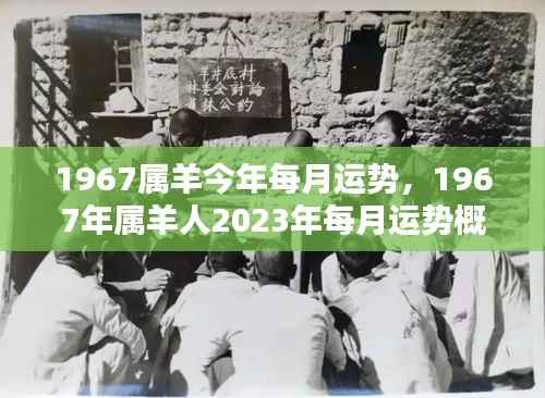 1967年属羊人2023年每月运势详解