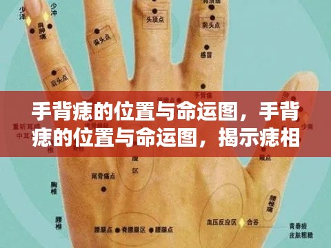 手背痣的位置与命运图,痣相背后的奥秘揭秘