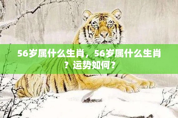 56岁属生肖猴,运势解析与特点