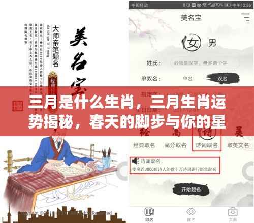 三月生肖运势揭秘，春天的脚步与星座运势同行