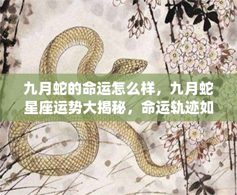九月蛇星座运势揭秘,命运轨迹与运势展望