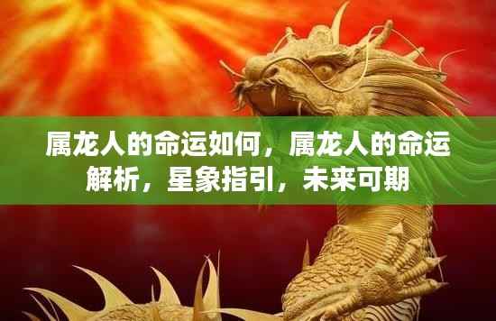 属龙人的命运解析,星象指引下的未来展望