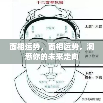 面相运势揭秘,洞悉未来走向,掌握命运之舵