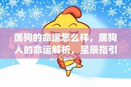 属狗的命运怎么样,属狗人的命运解析,星辰指引下的光明前程