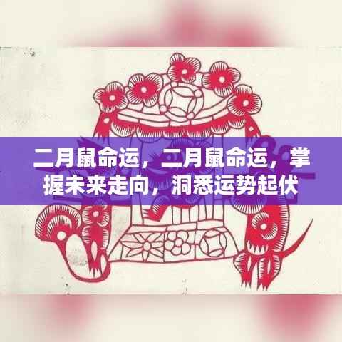二月鼠命运详解,洞悉运势起伏,掌握未来走向