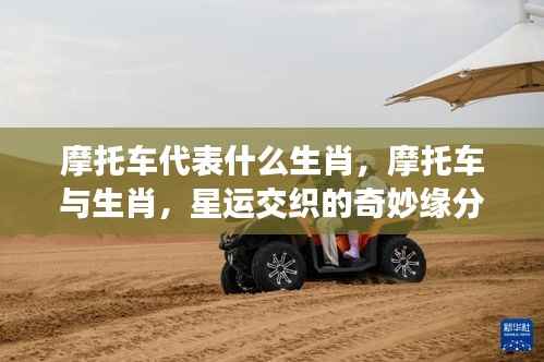 肝胆相照 第5页