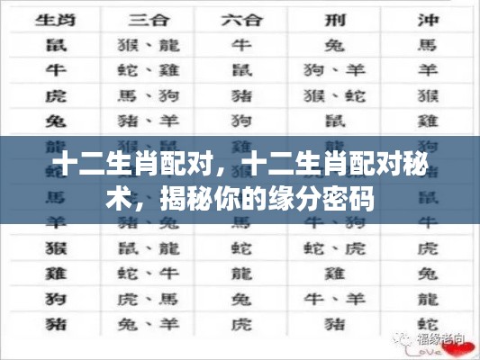 揭秘十二生肖配对秘术,缘分密码尽在其中