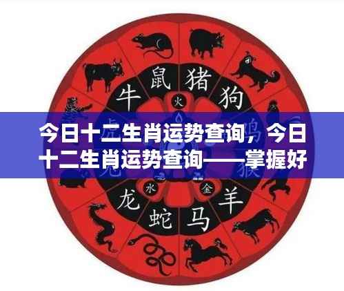 风华绝代 第5页