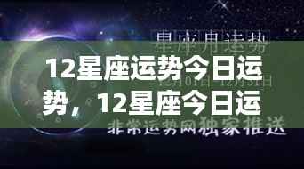 今日运势详解,十二星座运势分析