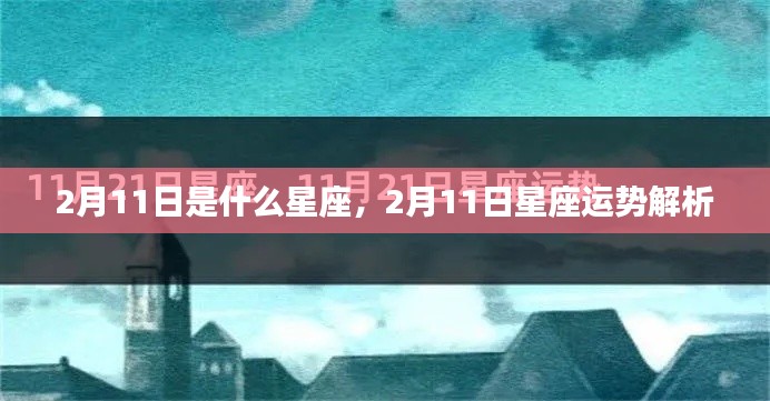 2月11日星座运势揭秘与解析