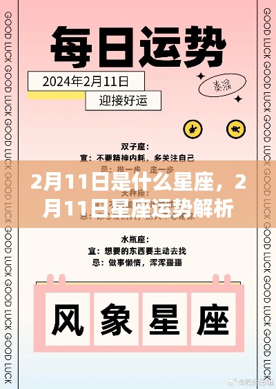 2月11日星座运势揭秘与解析