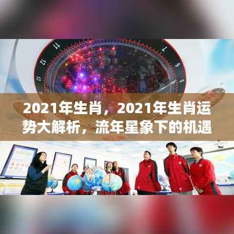 流年星象下的机遇与挑战,2021年生肖运势大解析