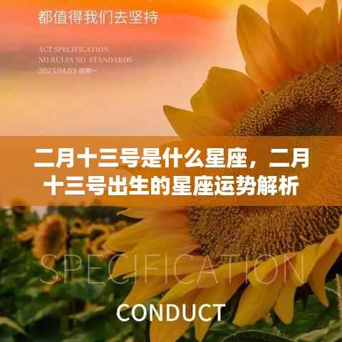 二月十三号星座运势揭秘,深度解析你的星座性格与运势特点