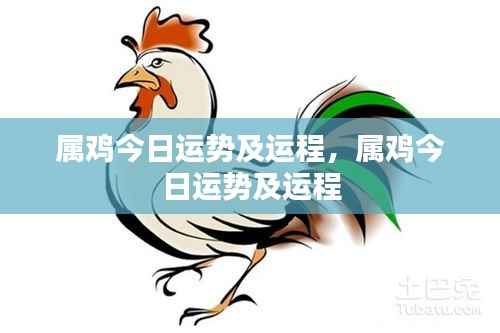 属鸡今日运势详解及运程预测