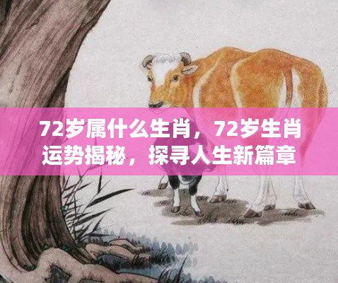 揭秘生肖运势,探寻72岁生肖的人生新篇章