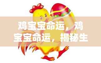 揭秘生肖鸡宝宝的命运轨迹与运势走向