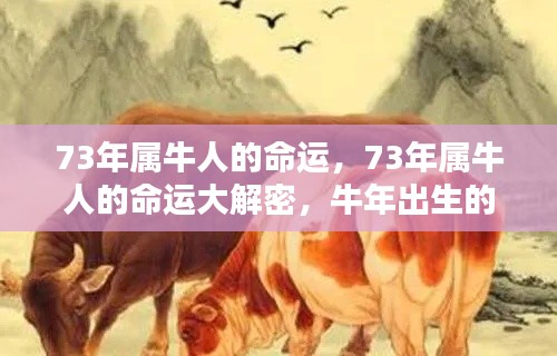 揭秘1973年属牛人的命运,命运走向大解密