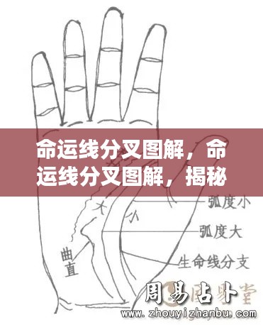 命运线分叉图解,揭示人生轨迹多元走向的神秘面纱