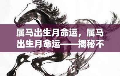 属马出生月份与命运差异揭秘,不同月份出生的属马人运势详解