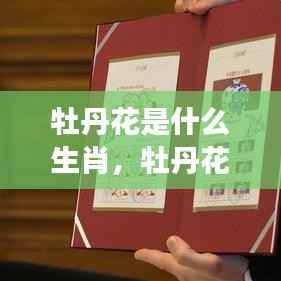 牡丹花与生肖,揭秘神秘文化交织之美