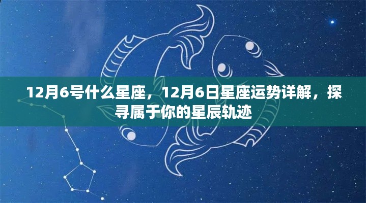 12月6日星座运势详解与探寻个人星辰轨迹,属于你的星座运势揭秘