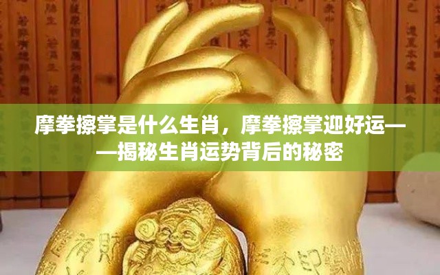 揭秘生肖运势背后的秘密,摩拳擦掌迎好运的生肖运势分析