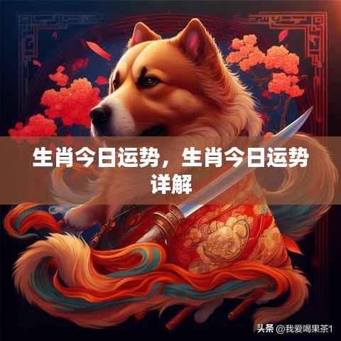 生肖今日运势详解分析报告
