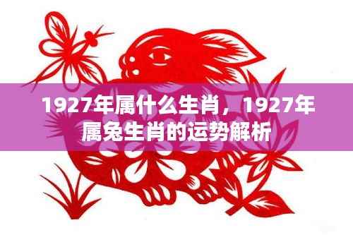 1927年属兔运势解析,生肖兔的运势与命运展望
