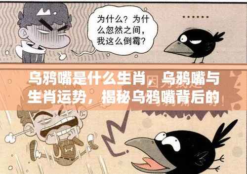 揭秘乌鸦嘴背后的生肖秘密,乌鸦嘴与生肖运势关联解析