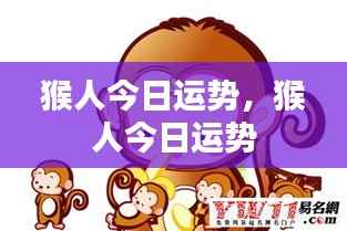 猴人今日运势详解