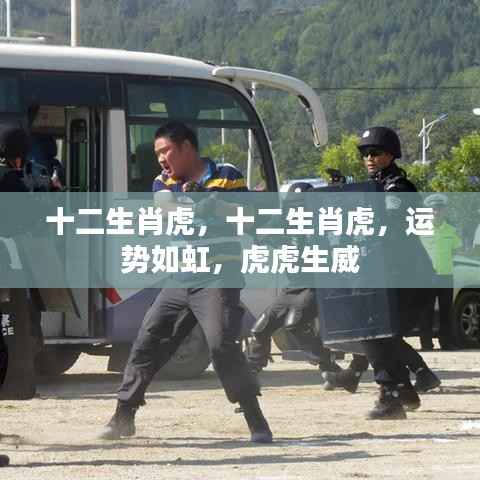 十二生肖虎运势旺盛,虎虎生威展宏图