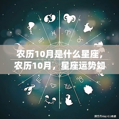 农历十月星座运势解读,星座运势如何变化?