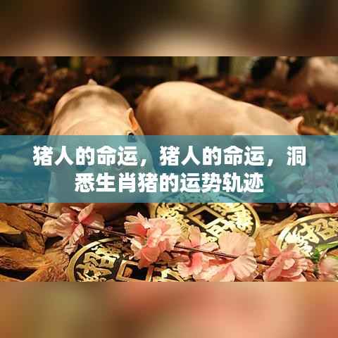 蚁出蚋飞 第4页