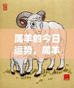属羊今日运势详解