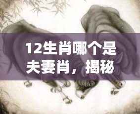 揭秘十二生肖中的夫妻肖,缘分天定,情深似海,究竟哪个是命中注定的伴侣?