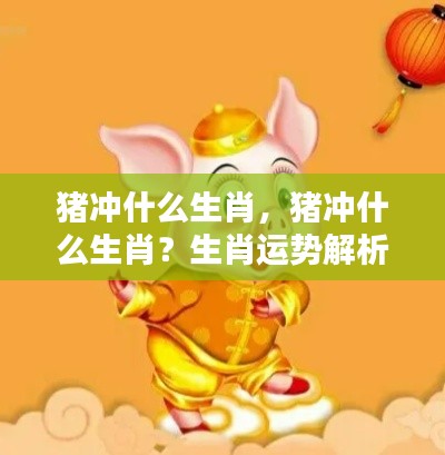 猪冲哪些生肖?生肖运势详解与吉时掌握技巧