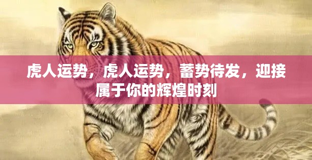 虎人蓄势待发,迎接属于你的辉煌时刻运势展望