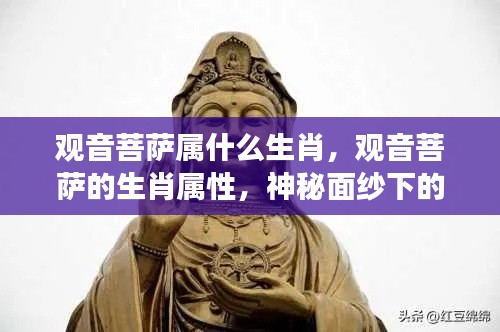 揭秘观音菩萨的生肖属性,神秘面纱下的解读