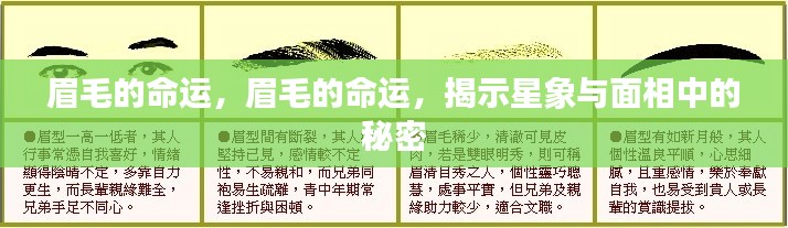 星象与面相揭秘,眉毛命运的奥秘
