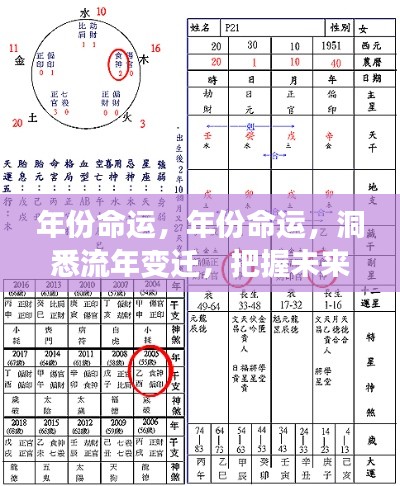 洞悉年份命运变迁,掌握未来走向的秘密