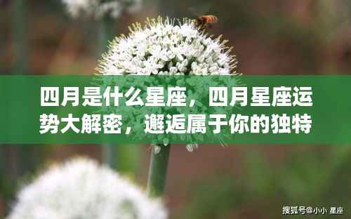 四月星座运势揭秘,独特魅力与星座运势大解密