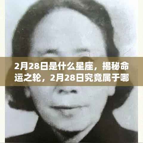 揭秘命运之轮,2月28日的星座揭晓!