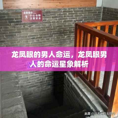 龙凤眼男人的命运解析与星象解读
