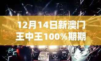 12月14日新澳门王中王100%期期中,回味那一夜的刺激与心跳