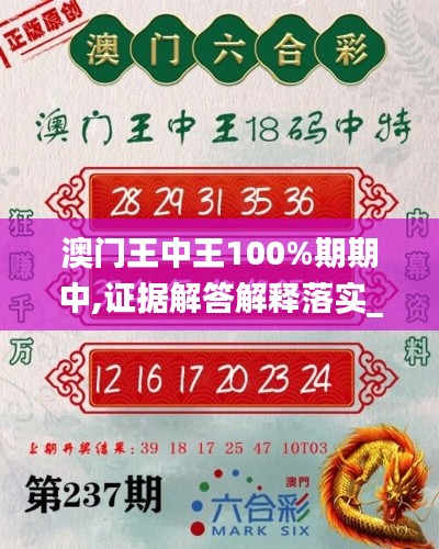 澳门王中王100%期期中,证据解答解释落实_特供版19.300