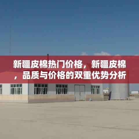新疆皮棉,品质与价格的双重优势解析及热门价格一览